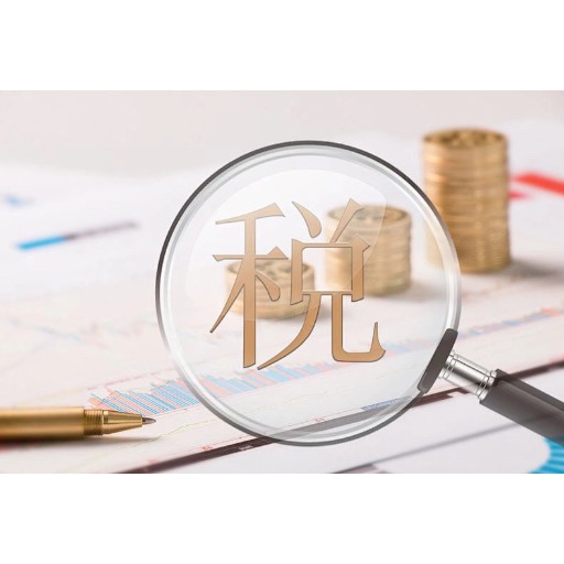 税务与信息风险